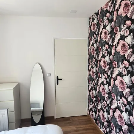 Appartement T3 Cosy à Saint-Etienne  Extérieur photo