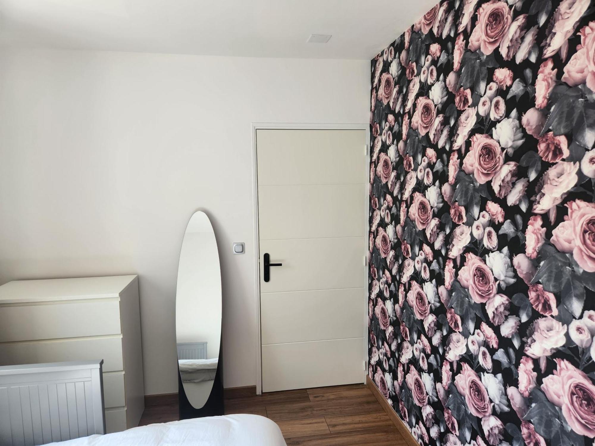 Apartment T3 Cosy Saint-Etienne (Loire)